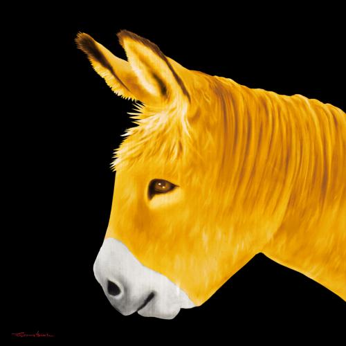 PTIT ANE JAUNE donkey Showroom - Inkjet on plexi, limited editions, numbered and signed. Wildlife painting Art and decoration. Click to select an image, organise your own set, order from the painter on line